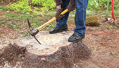 01-tree-stump-planter