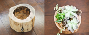 Tree-trunk-flower-pot