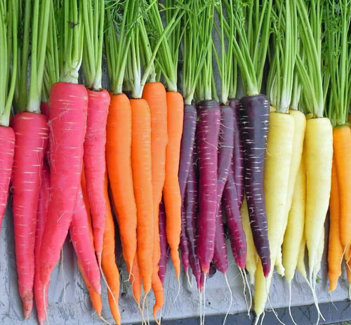 carrot-colour-mix