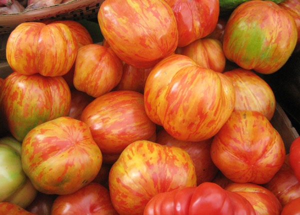 tigerella-tomatoes